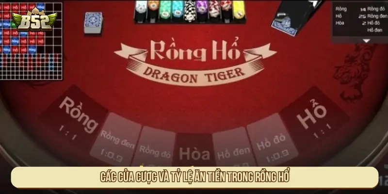 Cách Chơi Rồng Hổ Đơn Giản Và Hiệu Quả Cho Tân Binh Các cửa cược và tỷ lệ ăn tiền trong Rồng hổ