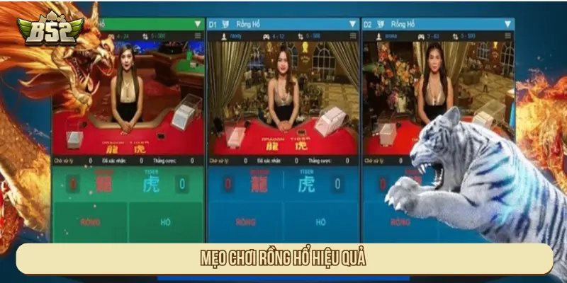 Cách Chơi Rồng Hổ Đơn Giản Và Hiệu Quả Cho Tân Binh Mẹo chơi Rồng hổ hiệu quả